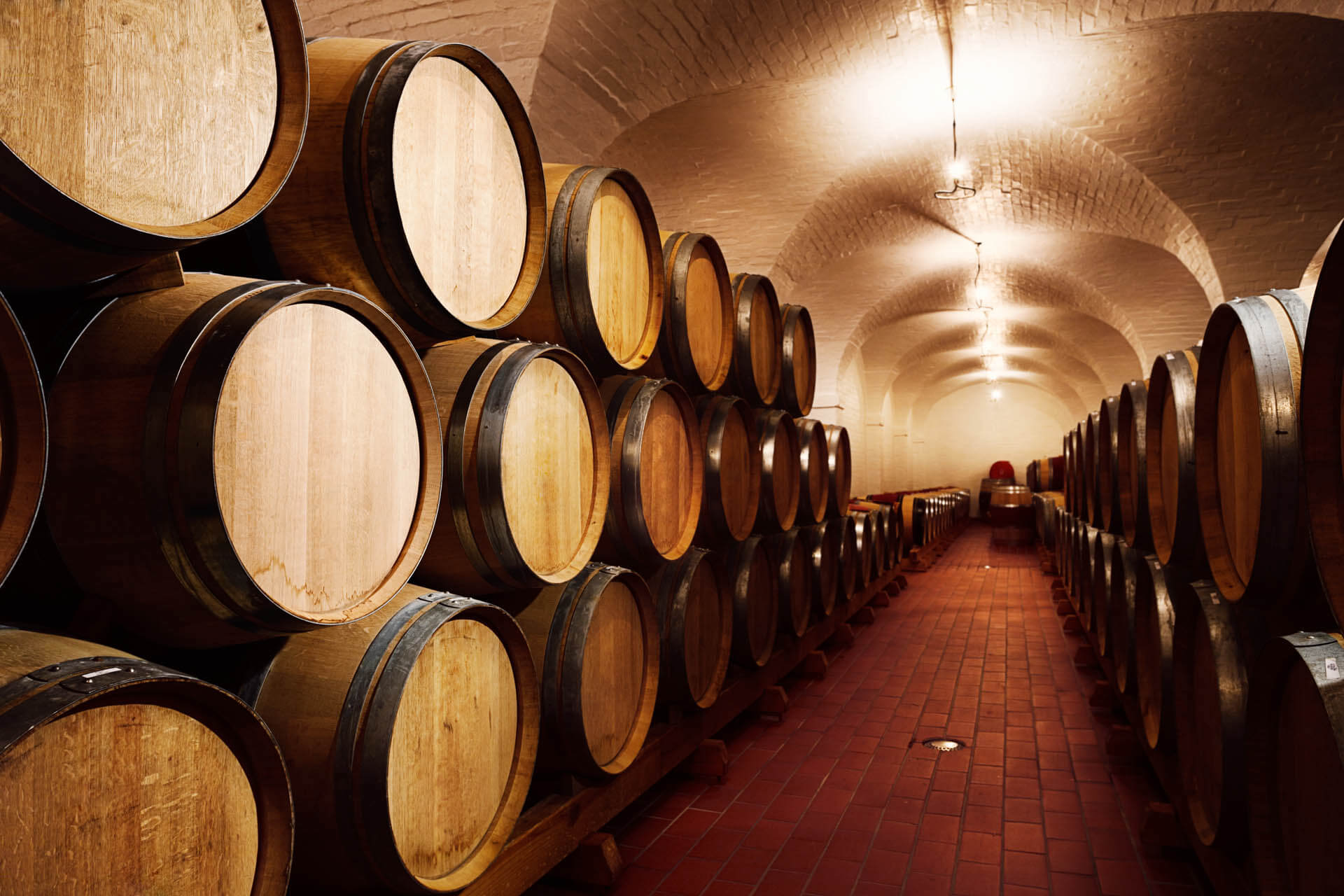 Wooden wine or whisky barrels in cellar